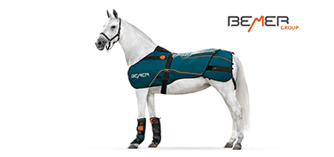 BEMER Horse Set – hvid hest med BEMER dækken og gamacher