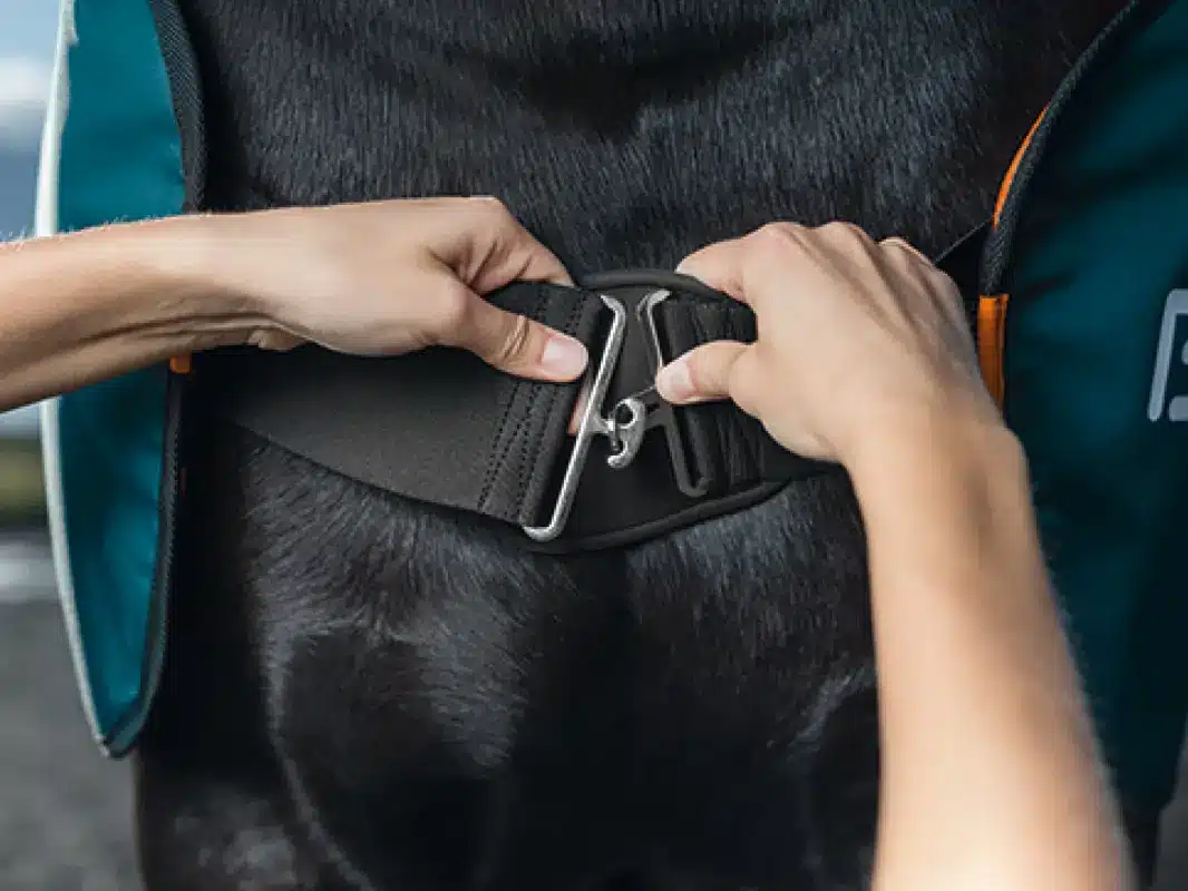 BEMER Horse Set 3