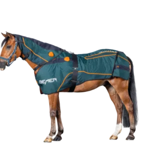 a horse wearing a Bemer Perfect Horse Duo set